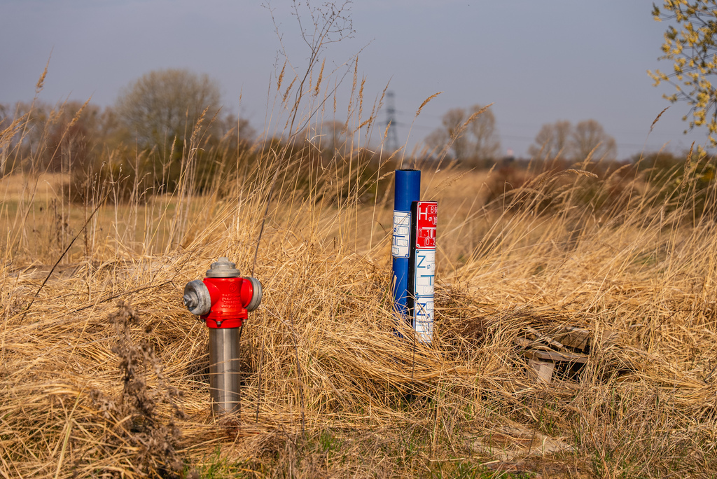 Działka na wzniesieniu w okolicy widok na Odrę. (8)