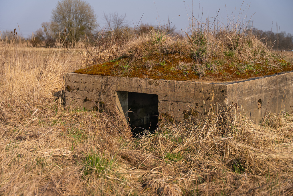 Działka na wzniesieniu w okolicy widok na Odrę. (6)