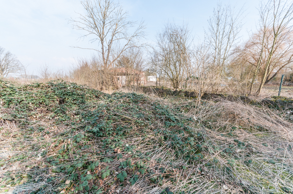 działka pod usługi,ośrodek terapii, klinikę,hostel (7)