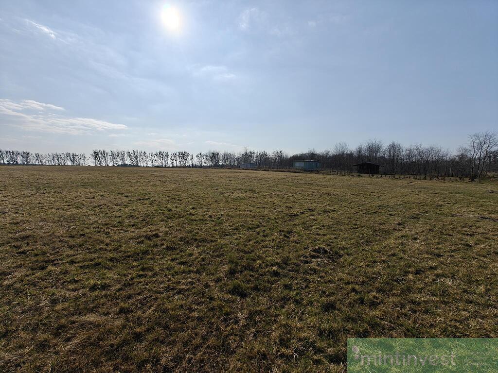 Działka budowlana Żarnowo, gm. Stepnica (9)