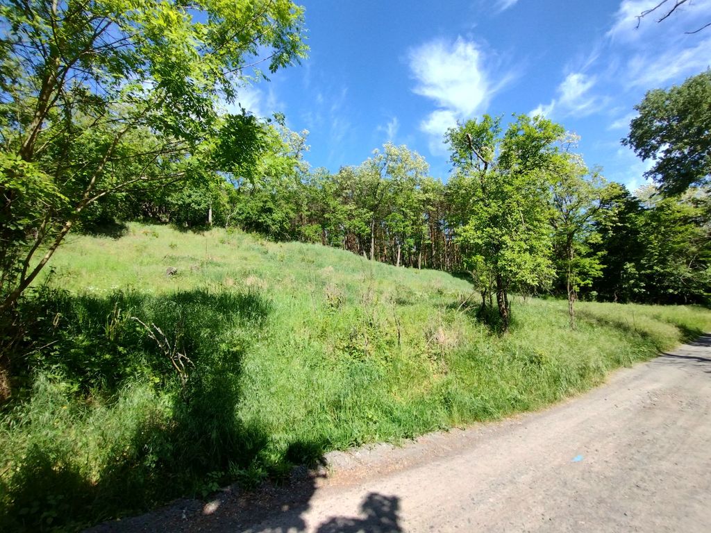 Działka w otulinie lasu nieopodal Odry (1)