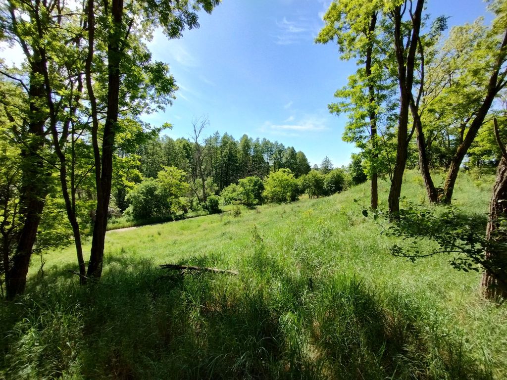 Działka w otulinie lasu nieopodal Odry (4)