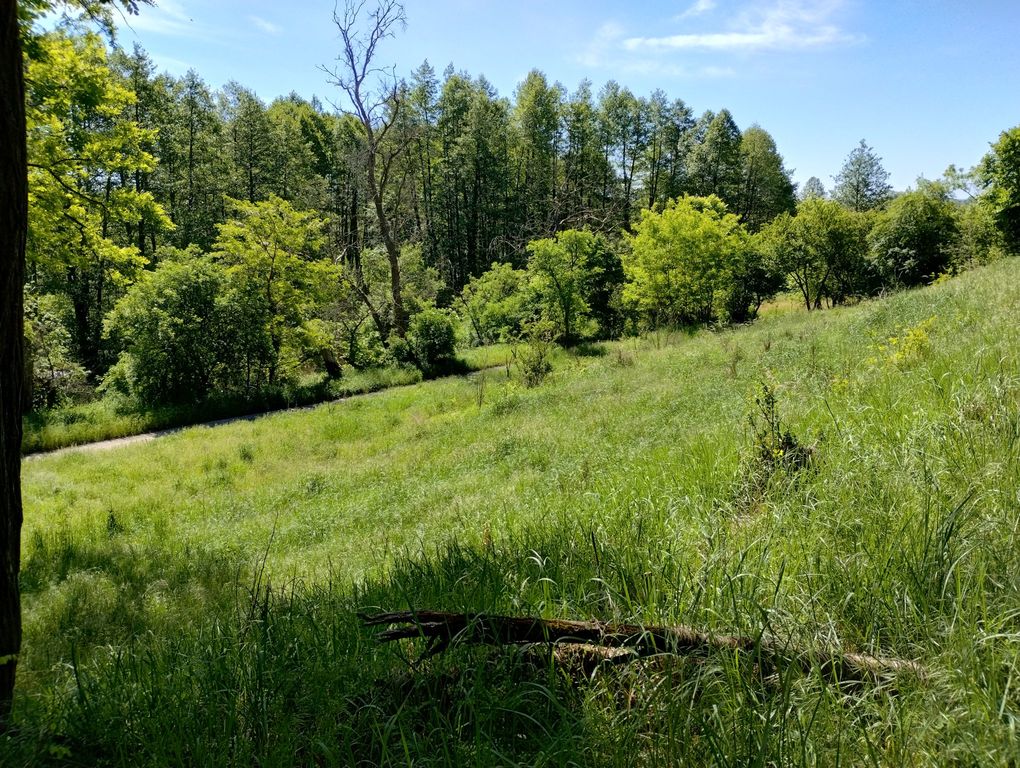 Działka w otulinie lasu nieopodal Odry (6)