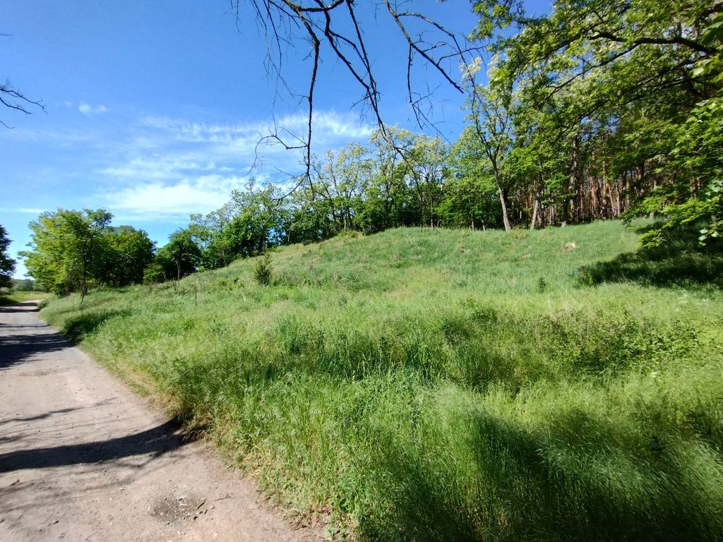 Działka w otulinie lasu nieopodal Odry (7)