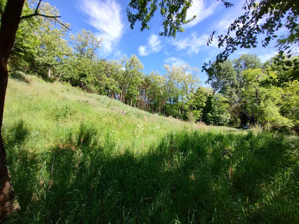 Działka w otulinie lasu nieopodal Odry (8)