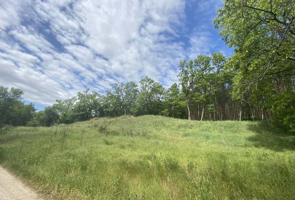 Działka w otulinie lasu nieopodal Odry (9)