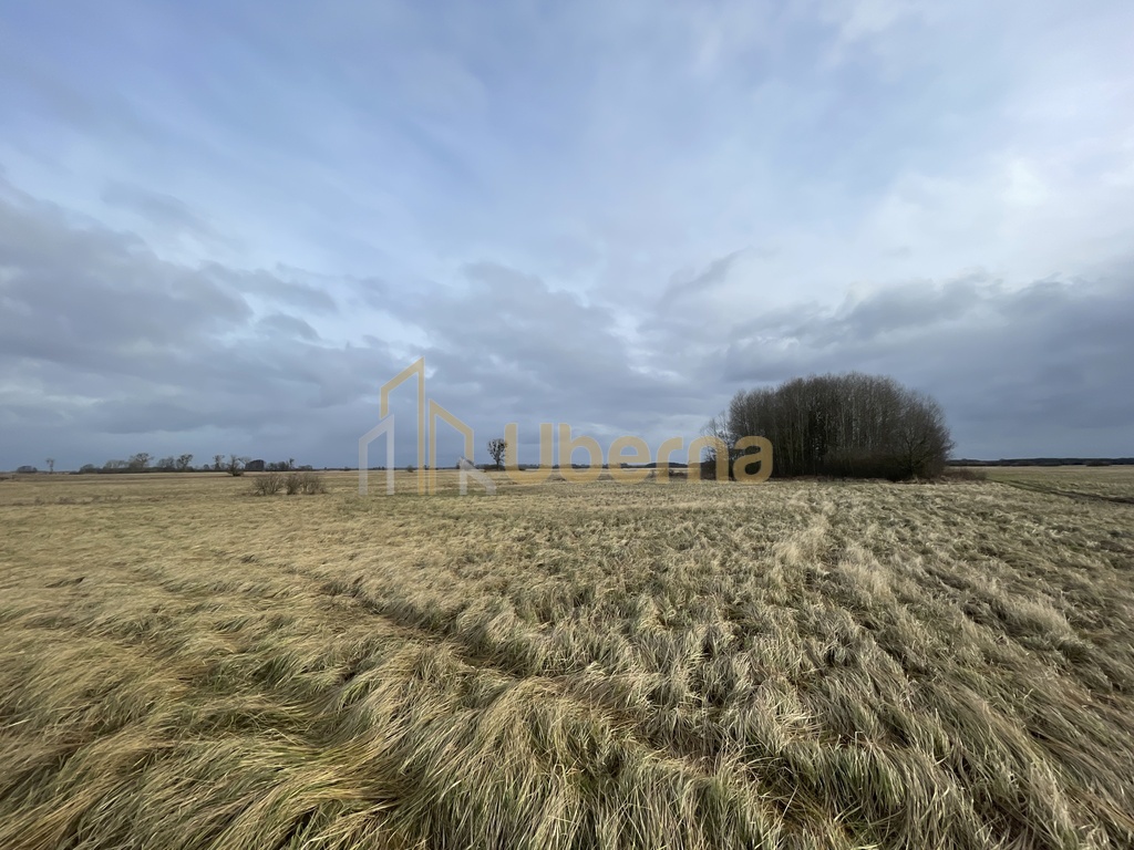 Działka rolna Komarowo na sprzedaż (10)