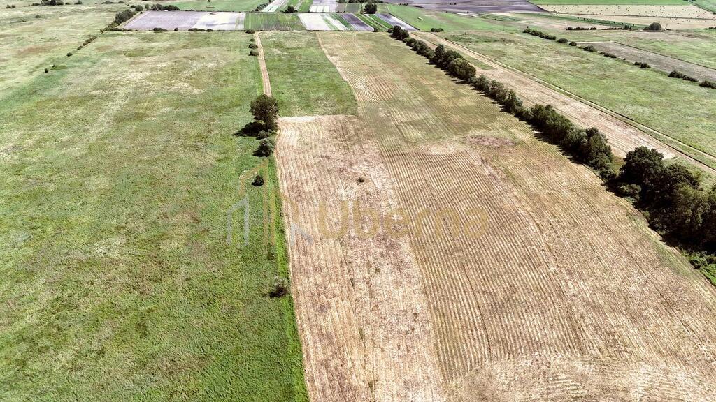 Działka rolna niezabudowana Komarowo nad jeziorem (5)