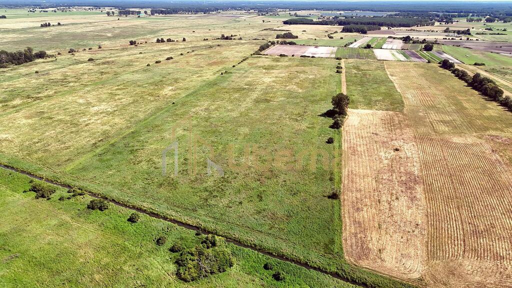 Działka rolna Gm.Goleniów na sprzedaż (6)