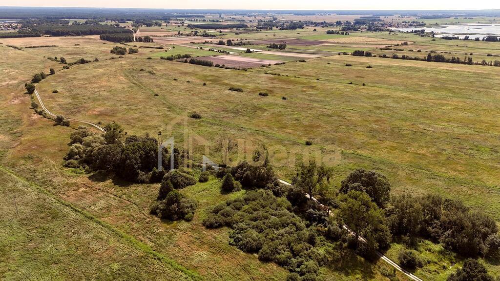Działka rolna Gm.Goleniów na sprzedaż (7)