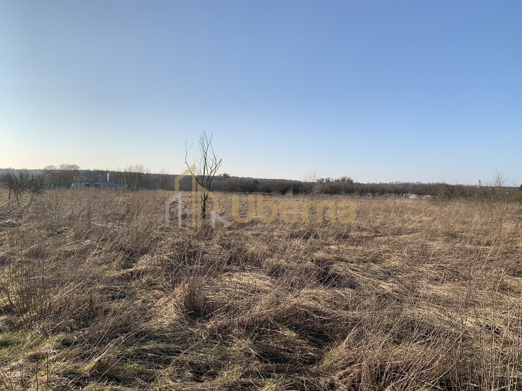 Działki inwestycyjne pod Goleniowem (5)