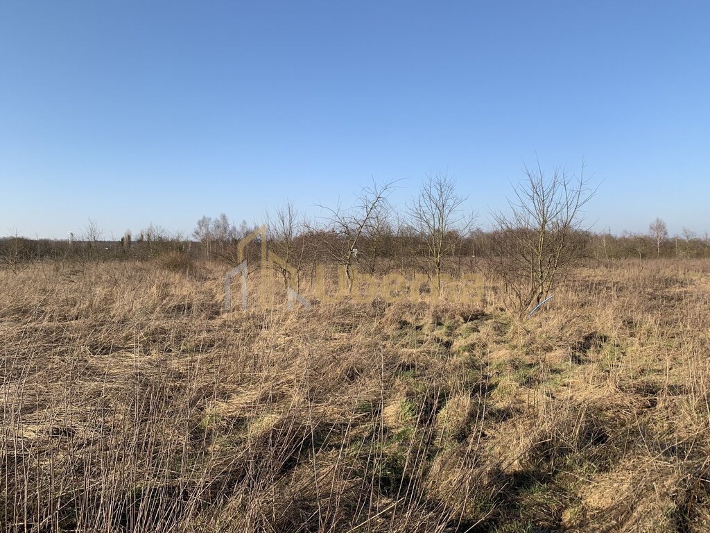 Działki inwestycyjne pod Goleniowem (6)