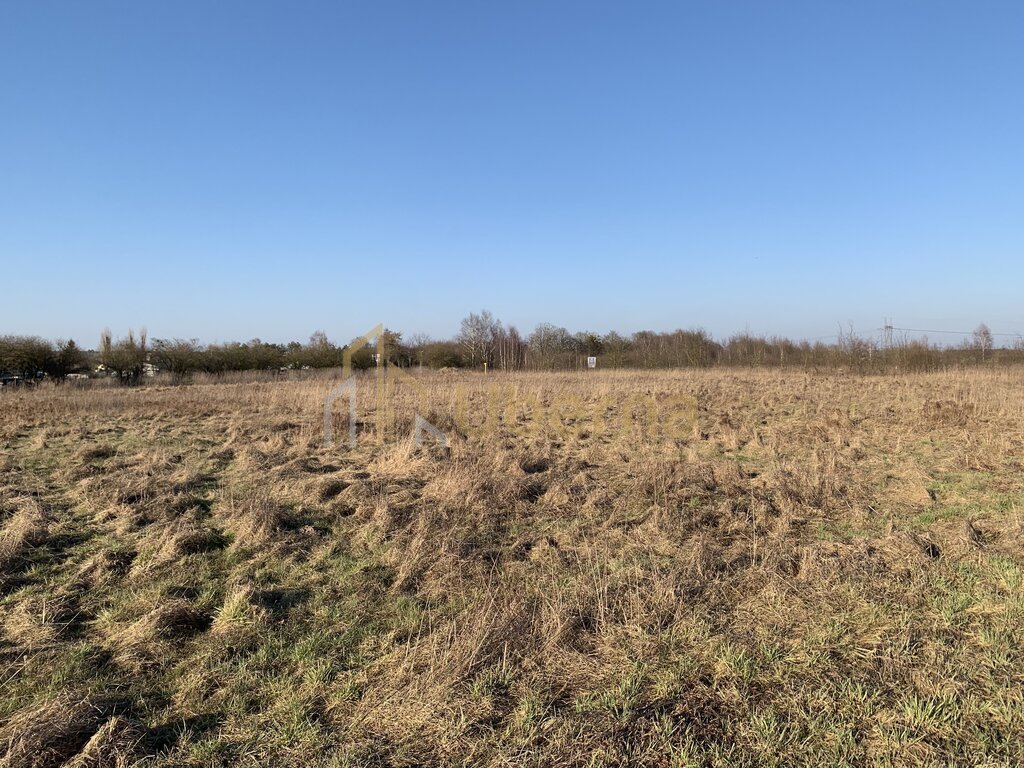 Działki inwestycyjne pod Goleniowem (7)