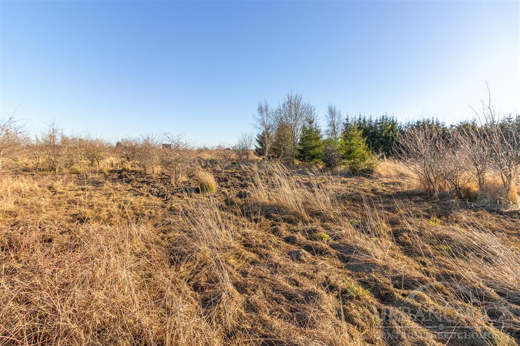 Działka w Mielnie. 650 metrów od jeziora. (8)