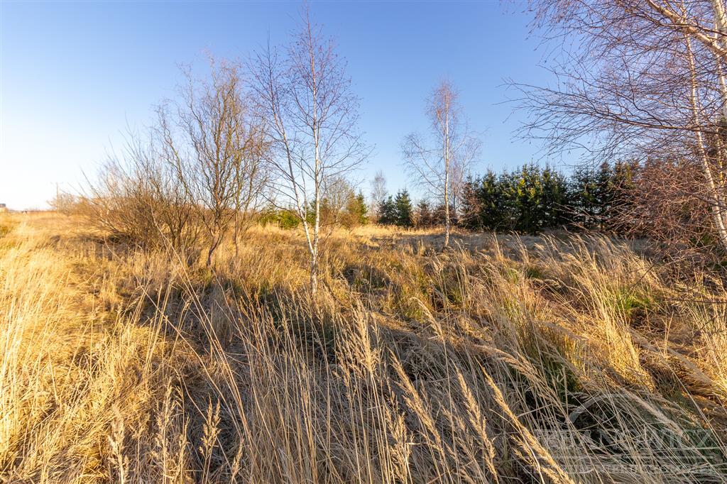 Działka w Mielnie. 650 metrów od jeziora. (9)