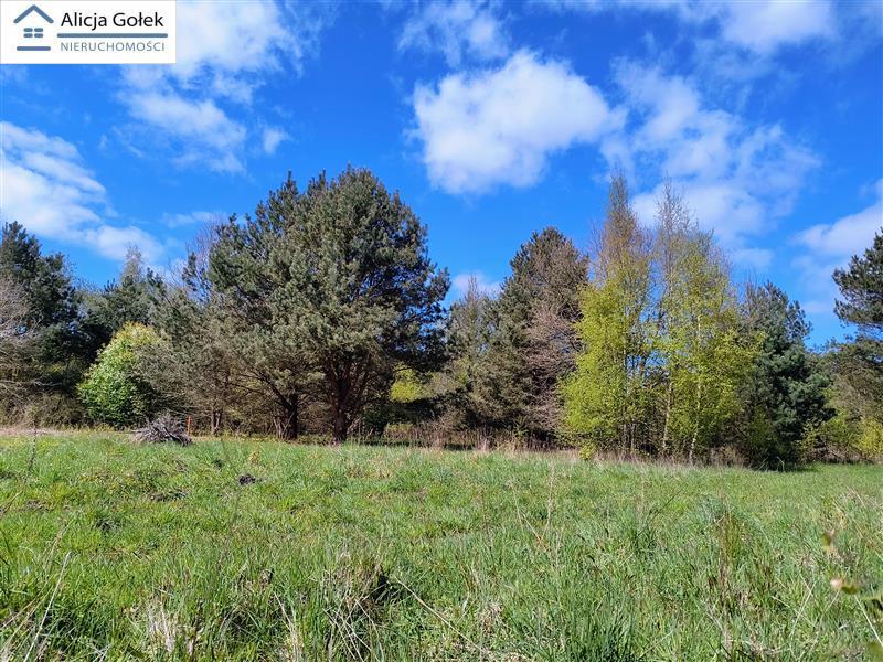 OSIEKI-  piękna działka 1.060m2 na Jeziorem Jamno  (10)