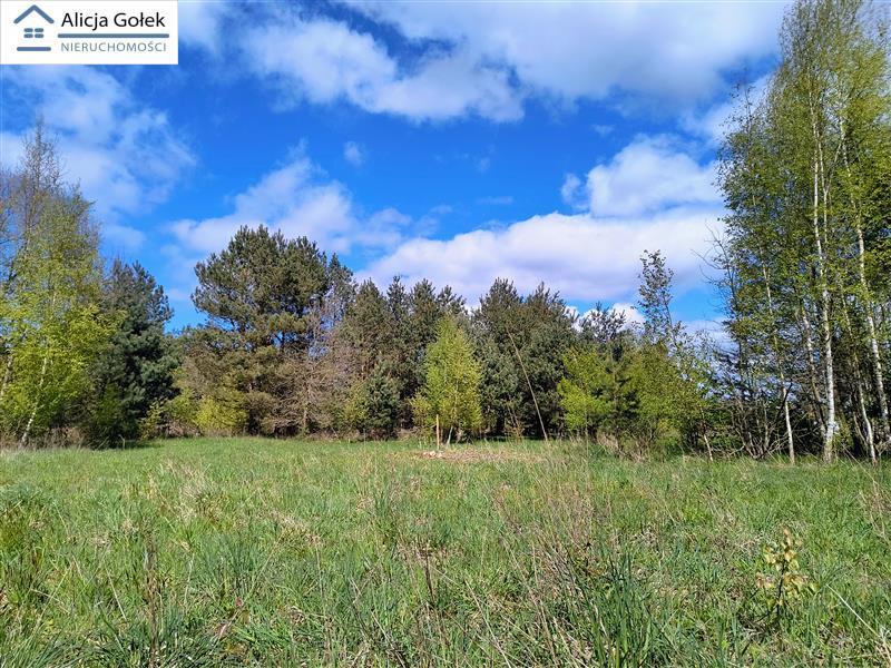 OSIEKI-  piękna działka 1.060m2 na Jeziorem Jamno  (11)