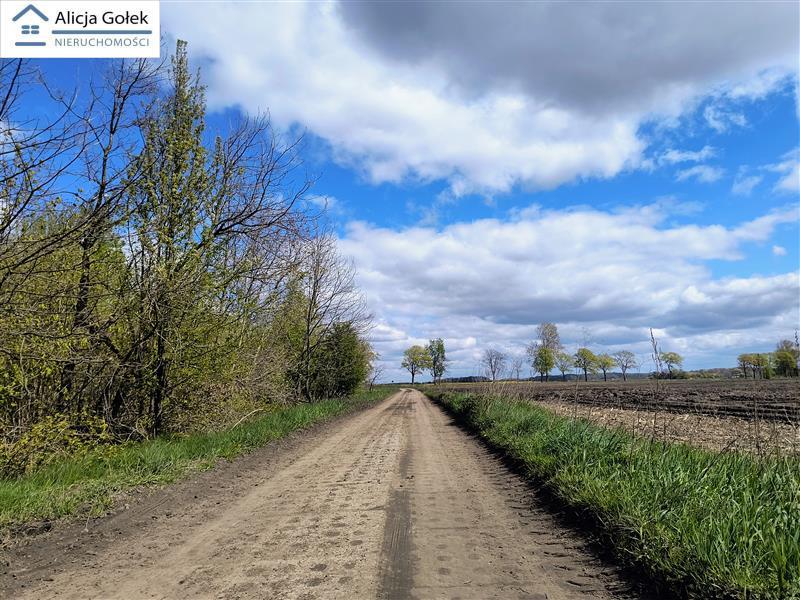 OSIEKI-  piękna działka 1.060m2 na Jeziorem Jamno  (12)