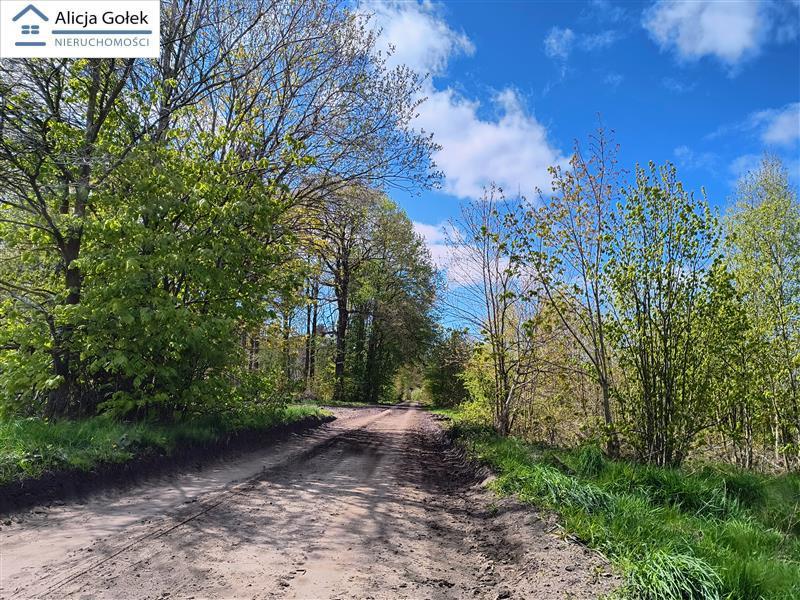 OSIEKI-  piękna działka 1.060m2 na Jeziorem Jamno  (13)