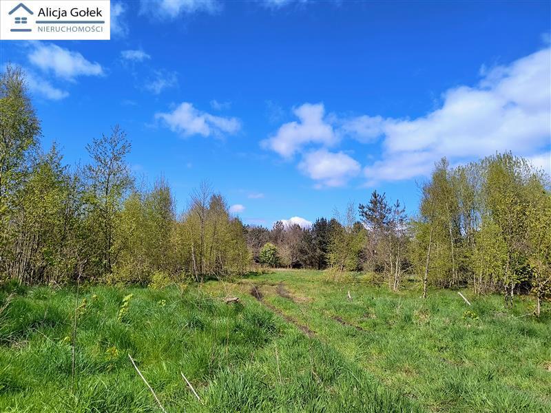 OSIEKI-  piękna działka 1.060m2 na Jeziorem Jamno  (6)