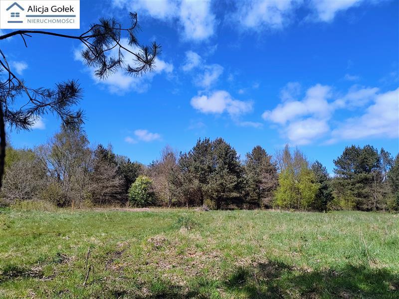 OSIEKI-  piękna działka 1.060m2 na Jeziorem Jamno  (7)