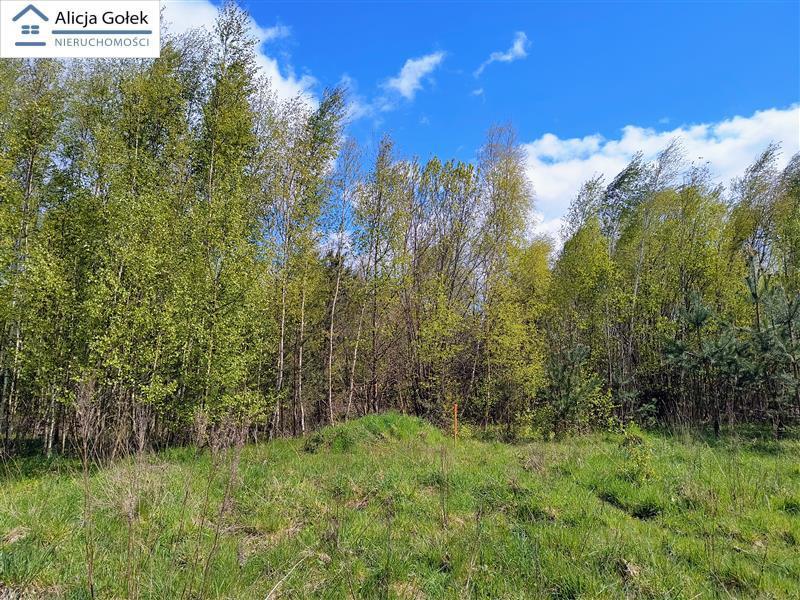 OSIEKI-  piękna działka 1.060m2 na Jeziorem Jamno  (8)