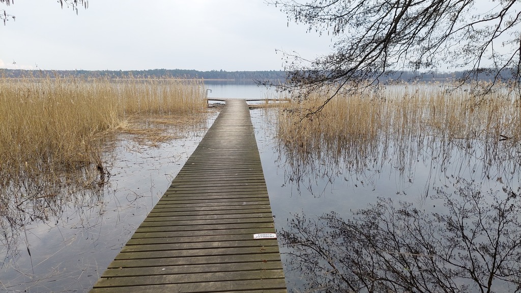 Działka  nad jeziorem (2)