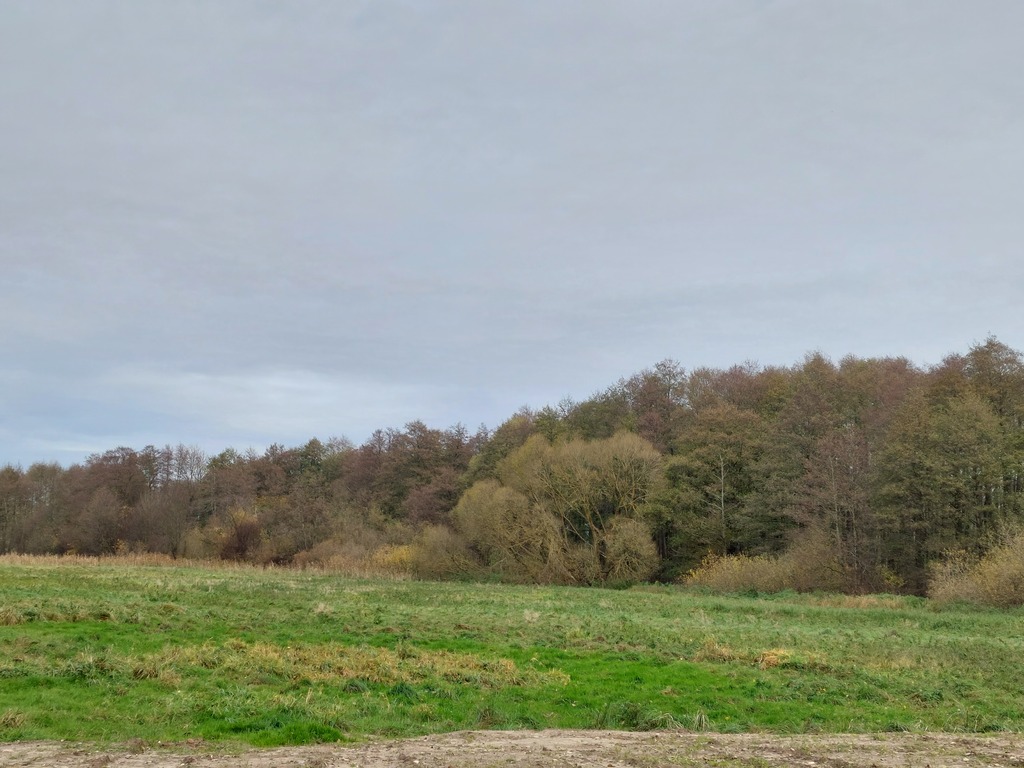 Działka  nad jeziorem (3)