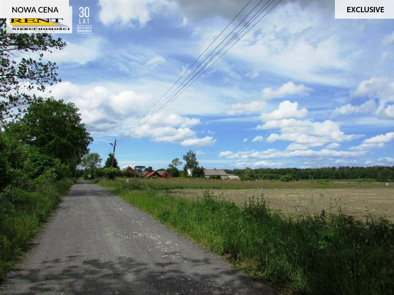 Działka  budowlana 3005 m pod Goleniowem (3)