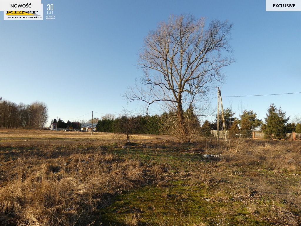 Duża działka komercyjna w  pobliżu Goleniowa (2)