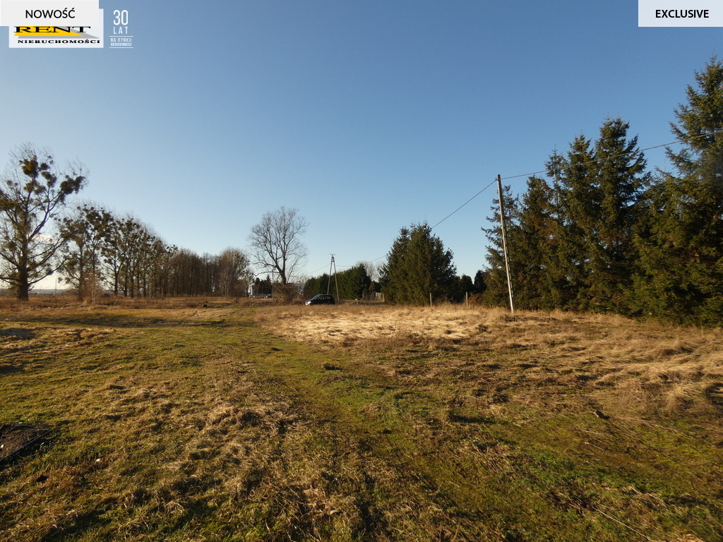 Duża działka komercyjna w  pobliżu Goleniowa (4)