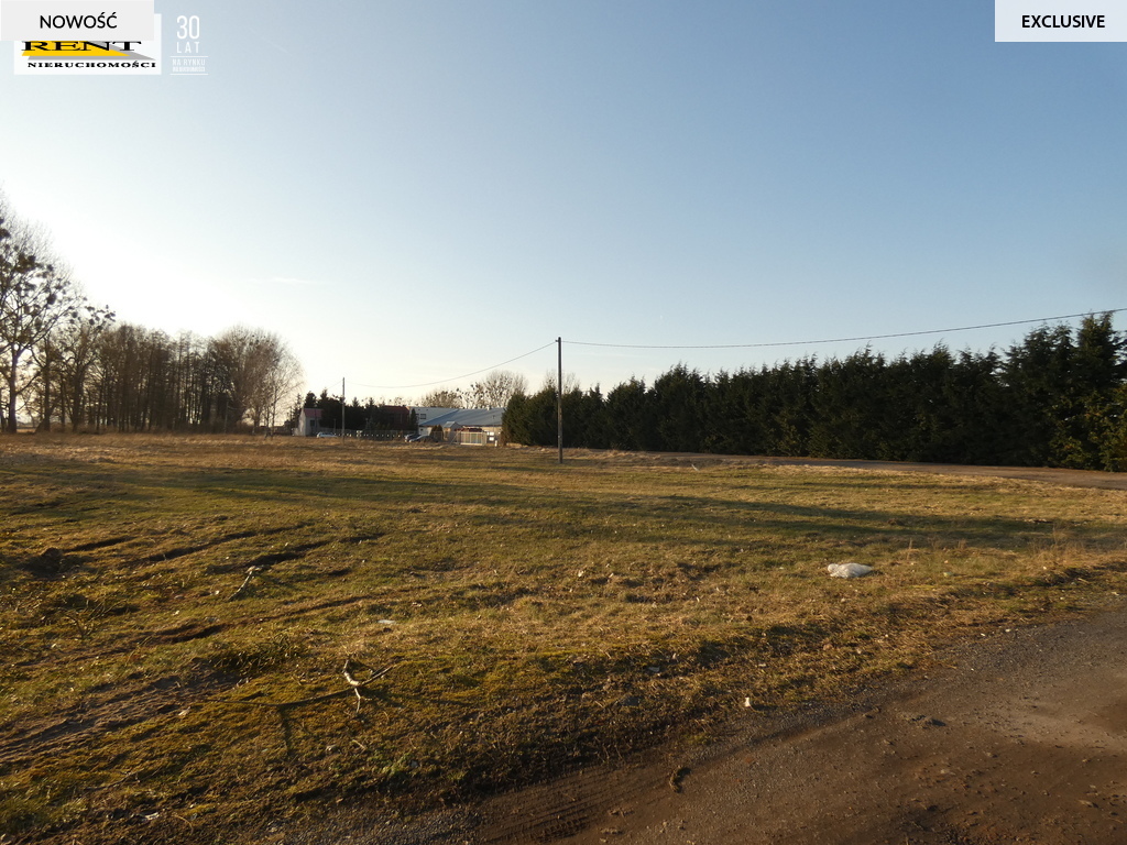 Duża działka komercyjna w  pobliżu Goleniowa (5)