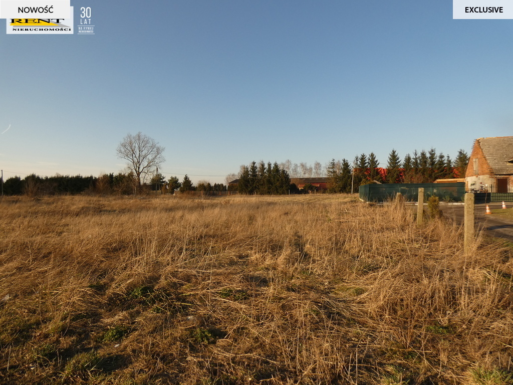 Duża działka komercyjna w  pobliżu Goleniowa (6)