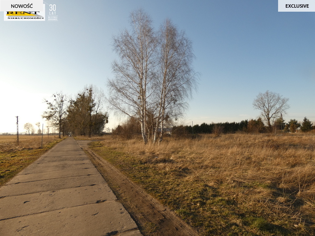 Duża działka komercyjna w  pobliżu Goleniowa (8)