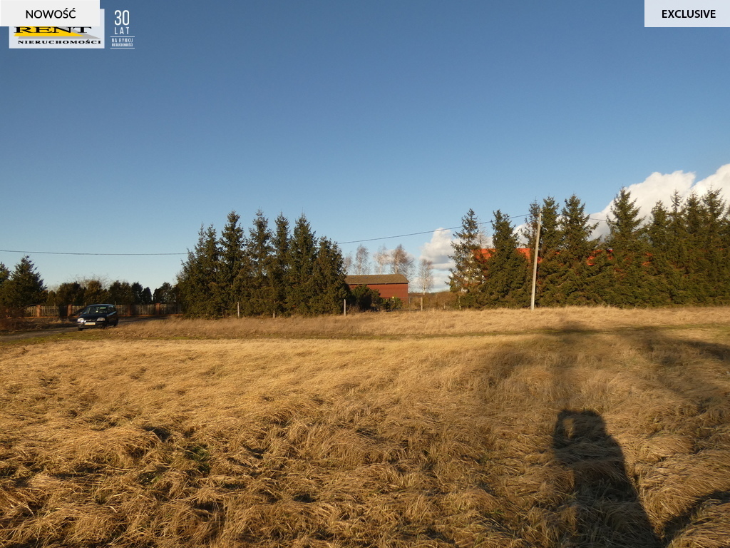 Duża działka komercyjna w  pobliżu Goleniowa (11)