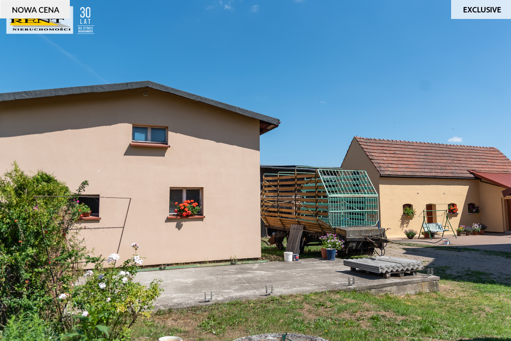 Solidny  duży dom  w otoczeniu bujnej zieleni ! (3)