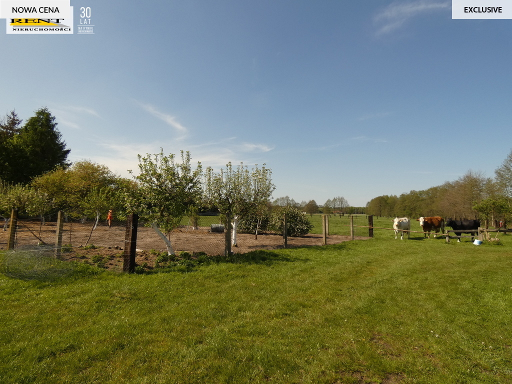 Solidny  duży dom  w otoczeniu bujnej zieleni ! (9)