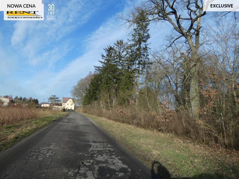 Solidny  duży dom  w otoczeniu bujnej zieleni ! (11)