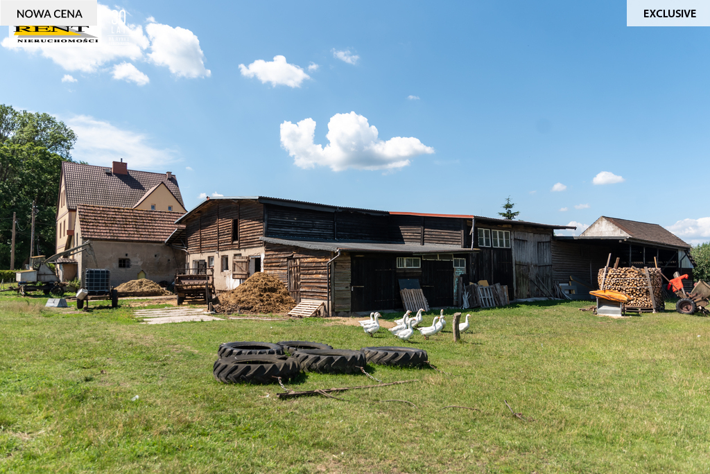 Solidny  duży dom  w otoczeniu bujnej zieleni ! (13)