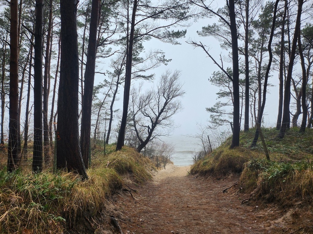 Wolno stojący, 145 m2, Pobierowo  (16)