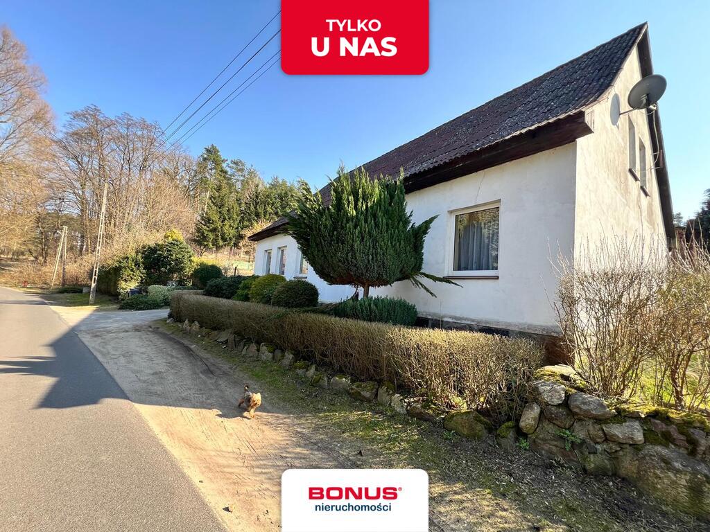 Dom na wsi z dużym zielonym terenem (1)