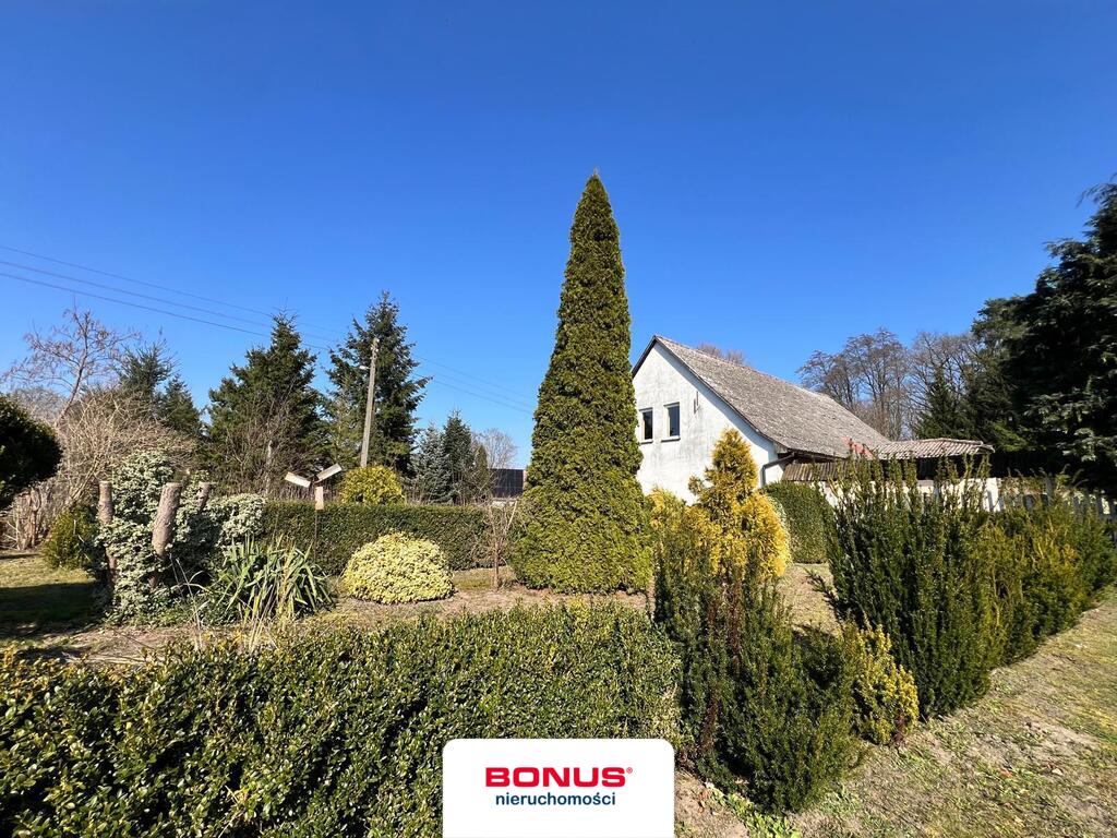 Dom na wsi z dużym zielonym terenem (2)