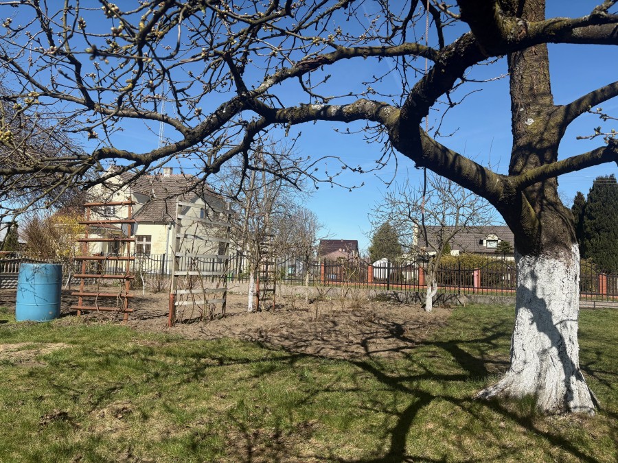 MIESZKANIE W DOMU Z DZIAŁKĄ (12)