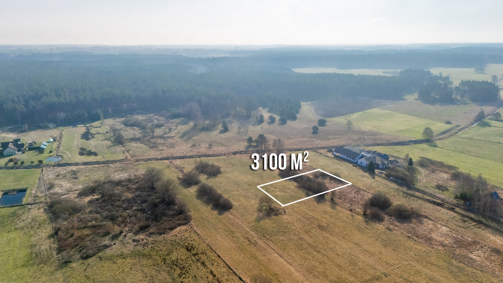 Duża działka 25 min od Szczecina w niskiej cenie. (4)