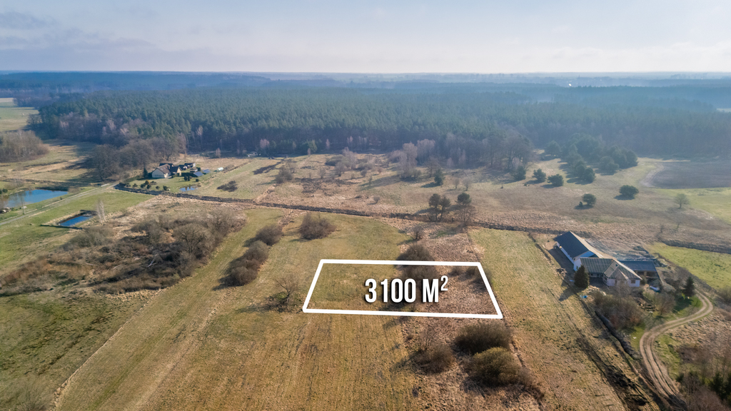 Duża działka 25 min od Szczecina w niskiej cenie. (5)