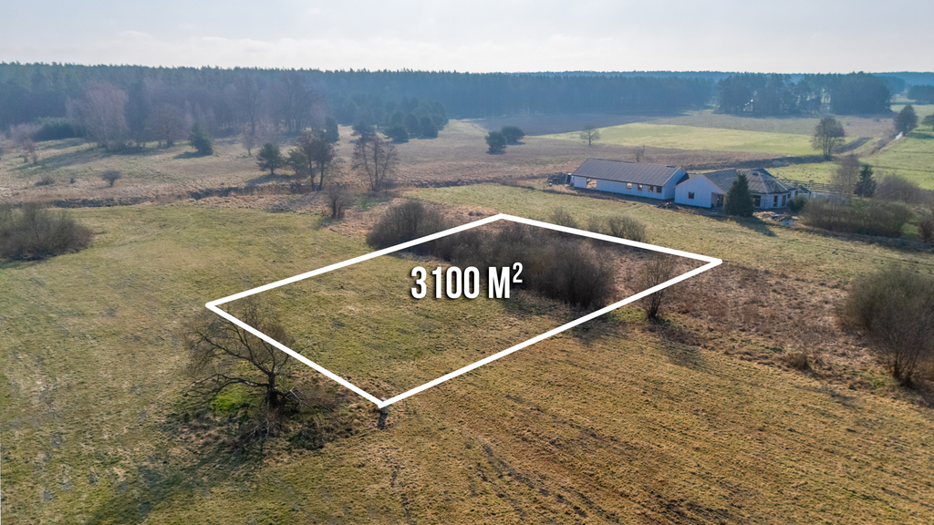 Duża działka 25 min od Szczecina w niskiej cenie. (8)