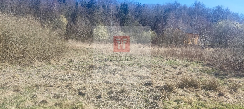 Działka rekreacyjna blisko jeziora (5)