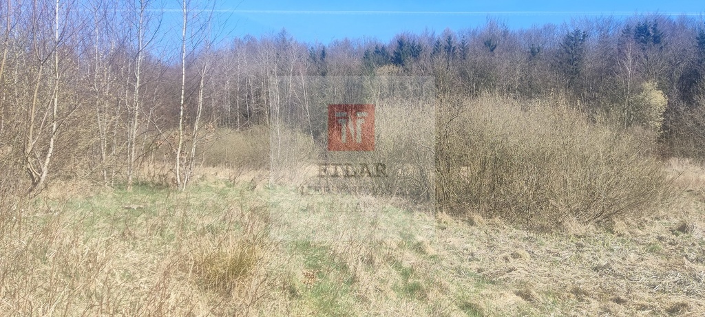 Działka rekreacyjna blisko jeziora (6)