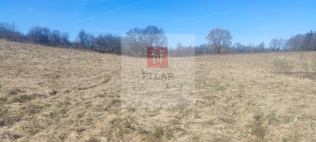 Działka rekreacyjna blisko jeziora (9)