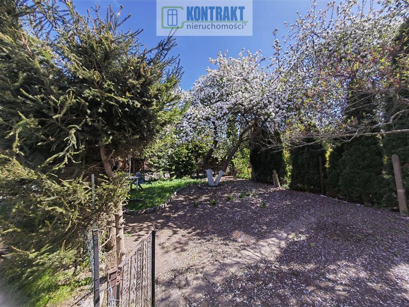 Mieszkanie 2pokojowe na parterze z ogrodem owocowo (11)